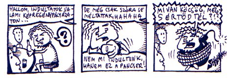 Metálvér 24.
