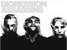 Digression Assassins (SWE)