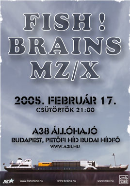 fish-mzx-brains